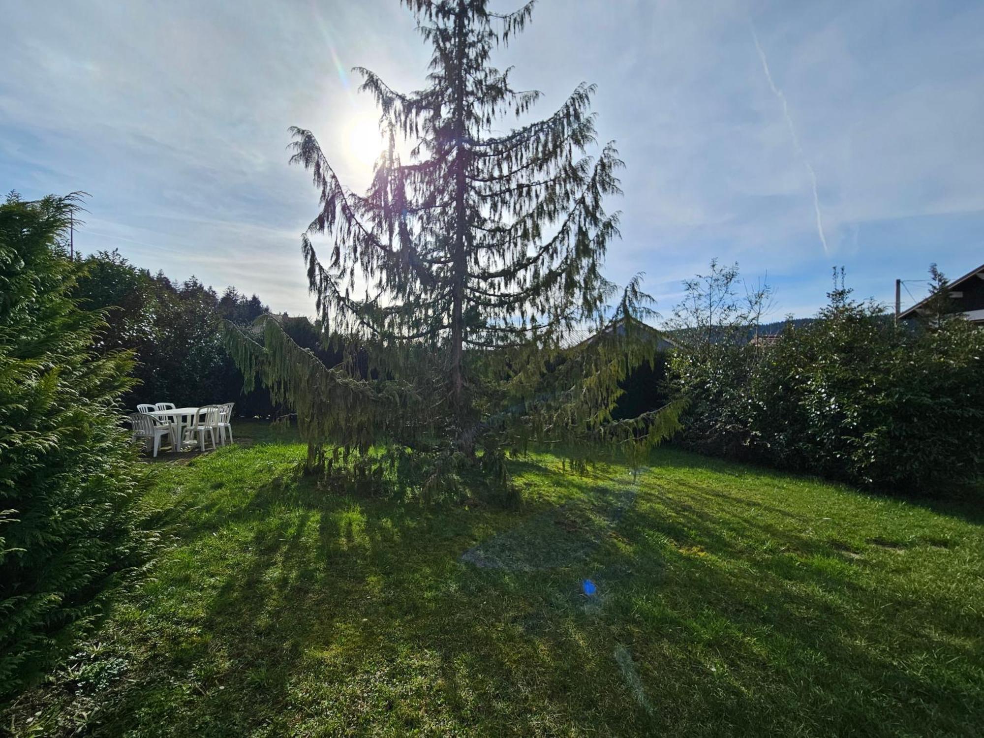 Appartement Chaleureux Gerardmer Proche Foret Exteriör bild